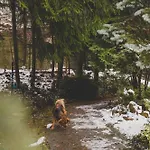 Szczytny Zakatek Apartmán Polanica-Zdrój