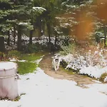 Szczytny Zakatek Polanica-Zdrój