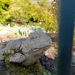 Szczytny Zakatek Apartmán *