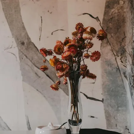 Szczytny Zakatek Апартаменты *