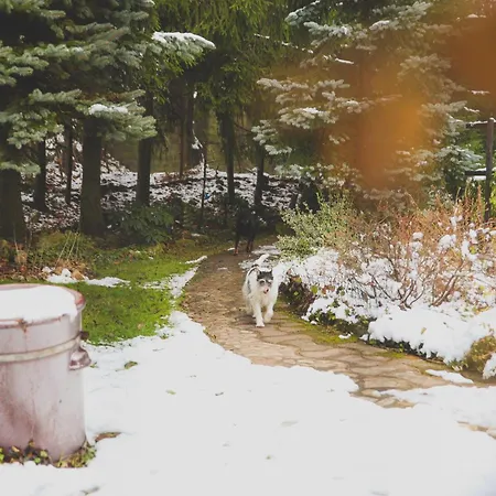 Szczytny Zakątek Polanica-Zdrój