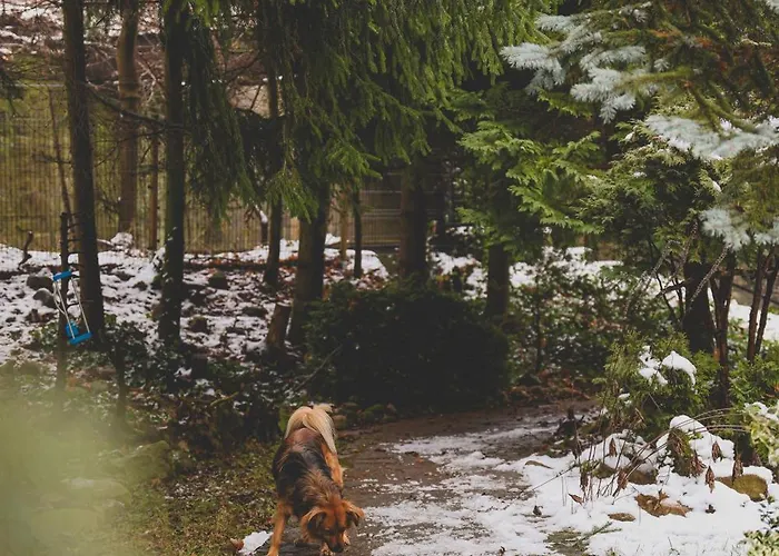 Szczytny Zakatek Apartment Polanica-Zdroj