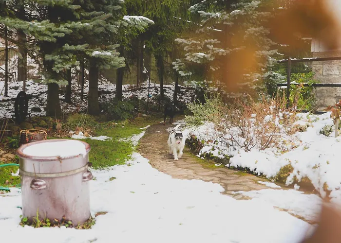 Szczytny Zakatek Поляница-Здруй