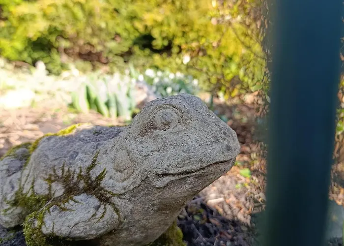 Szczytny Zakatek Apartment *